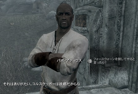 コルスケッガー鉱山からフォースウォーンを一掃する Shyana S Oblivion Add S